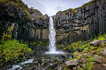 Svartifoss, Iceland by Frank Laurens