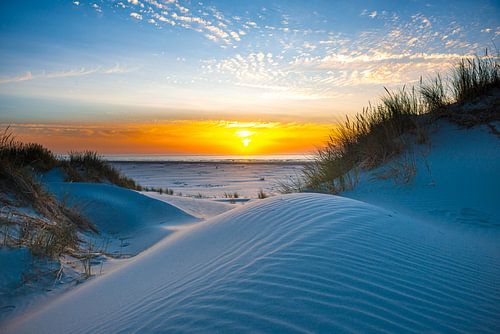 Beach Terschelling (2)