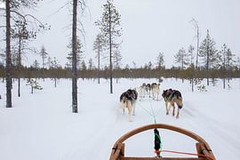 Lapland (Finland)
