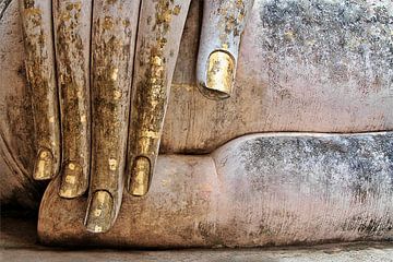 the hand of Buddha van Joachim G. Pinkawa