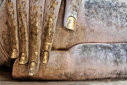 Buddhas Hand von Joachim G. Pinkawa