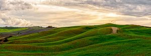 Paysage toscan panoramique I sur Teun Ruijters