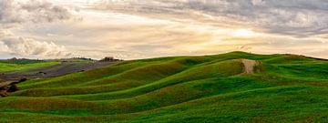 Tuscan landscape panorama I