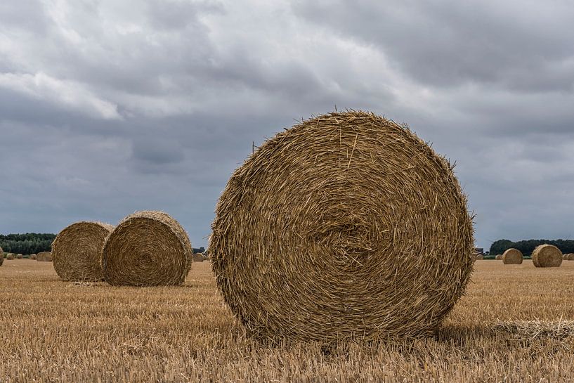 Stroh rollt auf einem niederländischen Feld von Ans Bastiaanssen