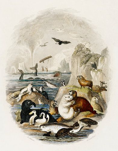 Handgetekende dieren verzameling