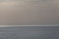 Minimalistisch zeegezicht.