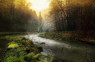 Kronkelende rivier door mistige ochted van Gabsor Fotografie thumbnail