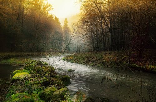 Kronkelende rivier door mistige ochted