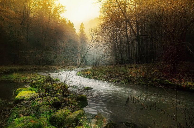 Kronkelende rivier door mistige ochted van Gabsor Fotografie