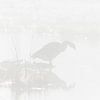 Canada goose silhouette by Dennis en Mariska