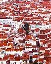 Die roten Dächer von Nazaré Portugal von Ricardo Bouman Fotografie Miniaturansicht