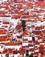 Die roten Dächer von Nazaré Portugal