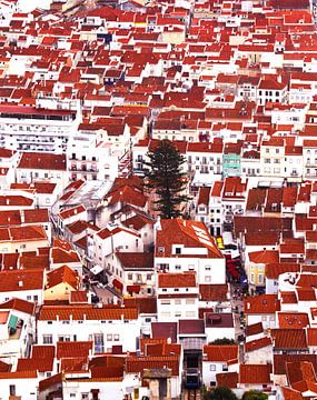 De rode daken van Nazaré in Portugal van RB-Photography