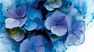 Hortensia Azure Elegance 002
