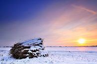 Winterlandschaft mit verschneitem Schilf bei Sonnenuntergang von Sjoerd van der Wal Fotografie Miniaturansicht