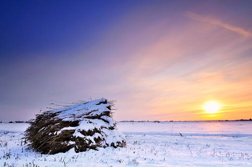 Winterlandschap met riet tijdens zonsondergang