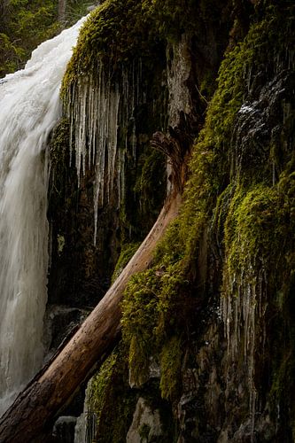 Gefrorener Wasserfall mit Eiszapfen und Moos