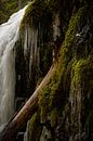 bevroren waterval met ijspegels en mos van Bart Cox thumbnail