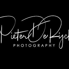 Pieter De Rijcke Profile picture