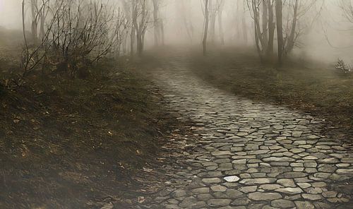 Weg van het grijze trottoir in de mist