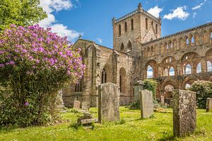 Ruine des  Klosters Jedburgh Abbey, Jedburgh