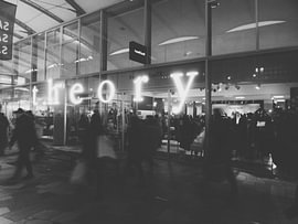 Theory – Licht, beweging en mysterie van Atelier Liesjes