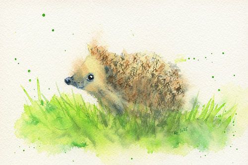 Neugieriger kleiner Igel auf der Wiese von Karen Kaspar