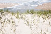 Dune area Texel