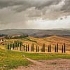 Toscaans landschap in Val D' Orcia van Kevin Baarda