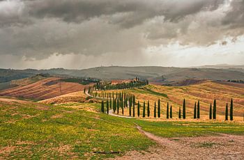 Toscaans landschap in Val D' Orcia
