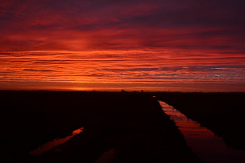 Sunrise near Visvliet, Groningen, the Netherlands. Made on a cold January morning.