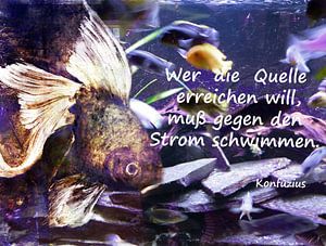 Aus China - Konfuzius