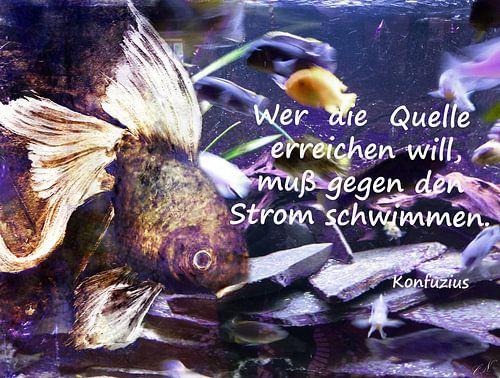 uit China - Confucius