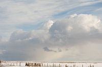 Minimalist Ameland in the snow
