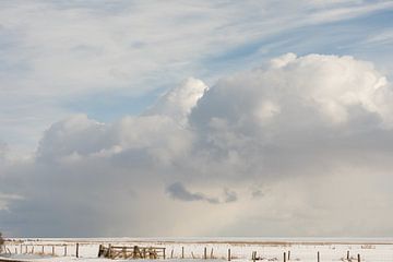 Minimalistisch Ameland in de sneeuw van Nicole Nagtegaal