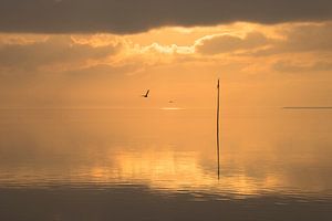 Windstille am Meer von Annette Sturm