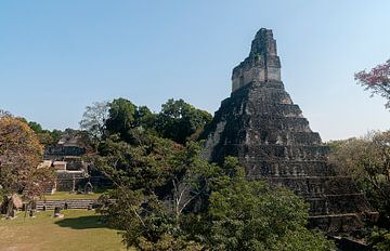 Guatemala: Tikal (Yax Mutal) sur Maarten Verhees