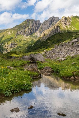Kleinwalsertal in the morning. Small river winding through the mountains