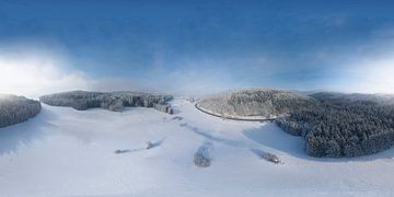 Panorama sneeuwweide en naaldbos van Christoph Hermann