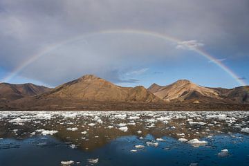 Zee met ijsschotsen met een regenboog van Anouschka Hendriks
