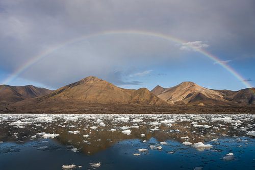 Sea of ice floes with a rainbow