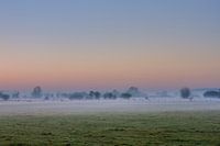 Mist