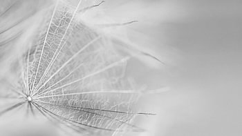 Woven in black and white