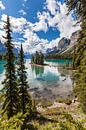 Île Spirit, Parc national de Jasper par Bart van Dinten Aperçu