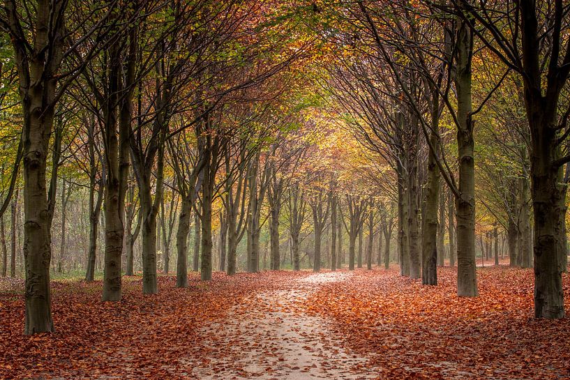 Naturfriedhof Hillig Meer von Peter Kuipers