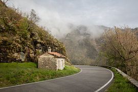 Stille kurvenreiche Straße zwischen Hügeln in der Toskana, Italien