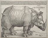 Das Nashorn, Albrecht Dürer von De Canon Miniaturansicht