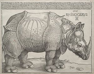 Le rhinocéros, Albrecht Dürer sur De Canon
