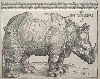 De neushoorn, Albrecht Dürer