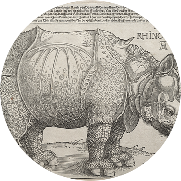 De neushoorn, Albrecht Dürer van De Canon